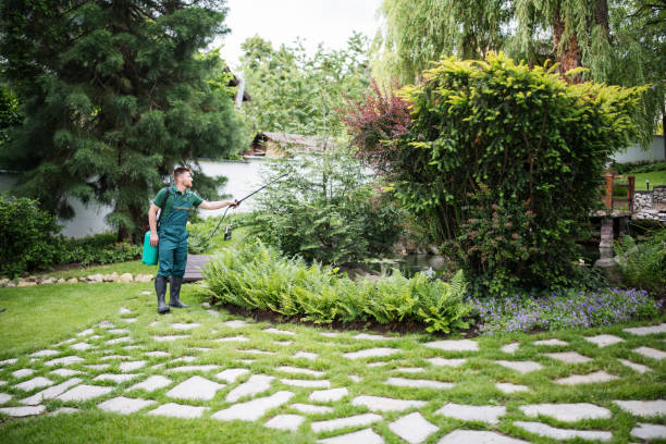 Best Commercial Tree Services  in Cienegas Terrace, TX