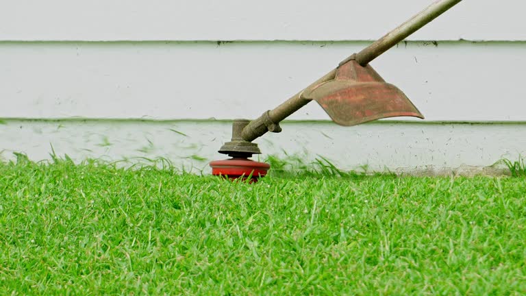 Best Soil Testing and Treatment  in Cienegas Terrace, TX
