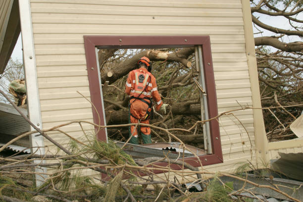 Best Fruit Tree Pruning  in Cienegas Terrace, TX